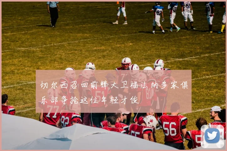 切尔西召回前锋大卫福法纳多家俱乐部争抢这位年轻才俊